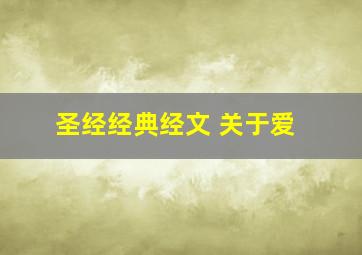 圣经经典经文 关于爱